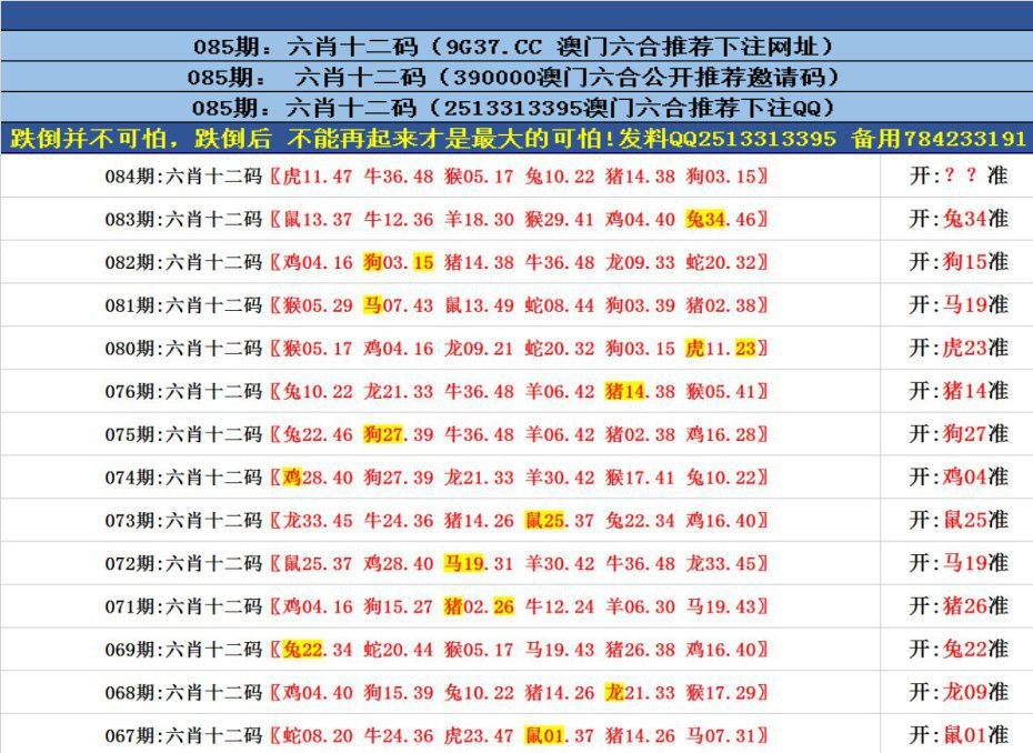 49澳彩图库免费资料	