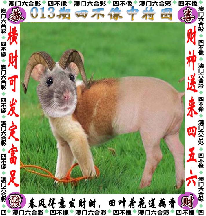 白小姐一肖一码今晚开奖