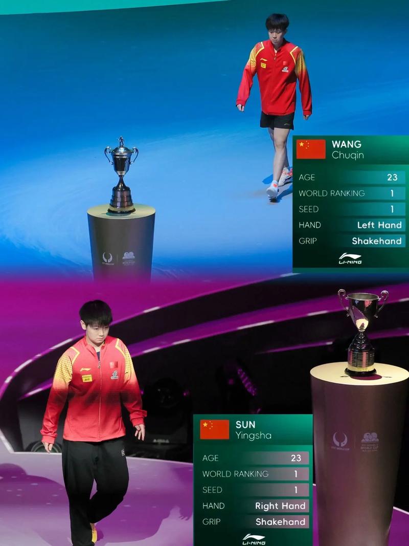 澳门免费资料2024精选大全,设计策略快速解答_VR型43.237