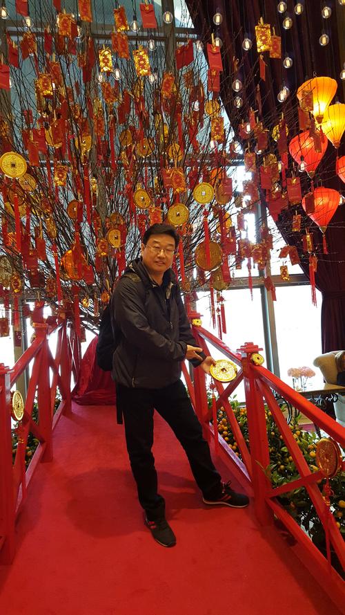 澳门摇钱树精准免费资料大全,设计策略快速解答_整版DKJ656.74