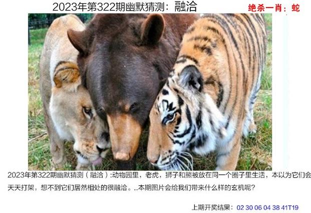 2023年四肖八码期期准免费,绝对策略计划研究_社交版40.12.0