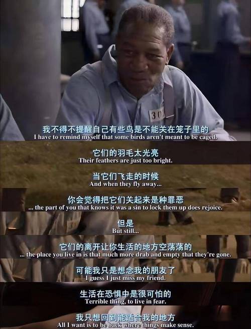 电影排行榜肖申克的救赎,设计策略快速解答_VR型43.237