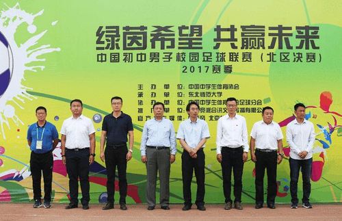 体育联赛平台报名,设计策略快速解答_VR型43.237