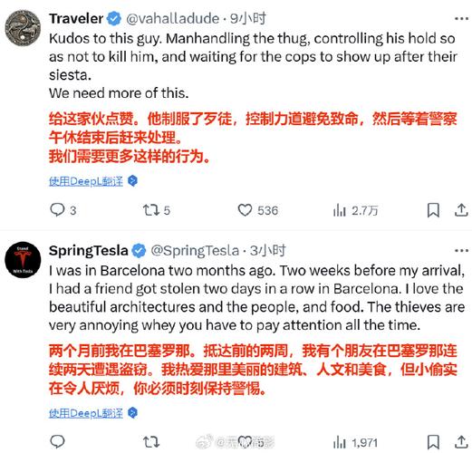 小伙制服西班牙小偷