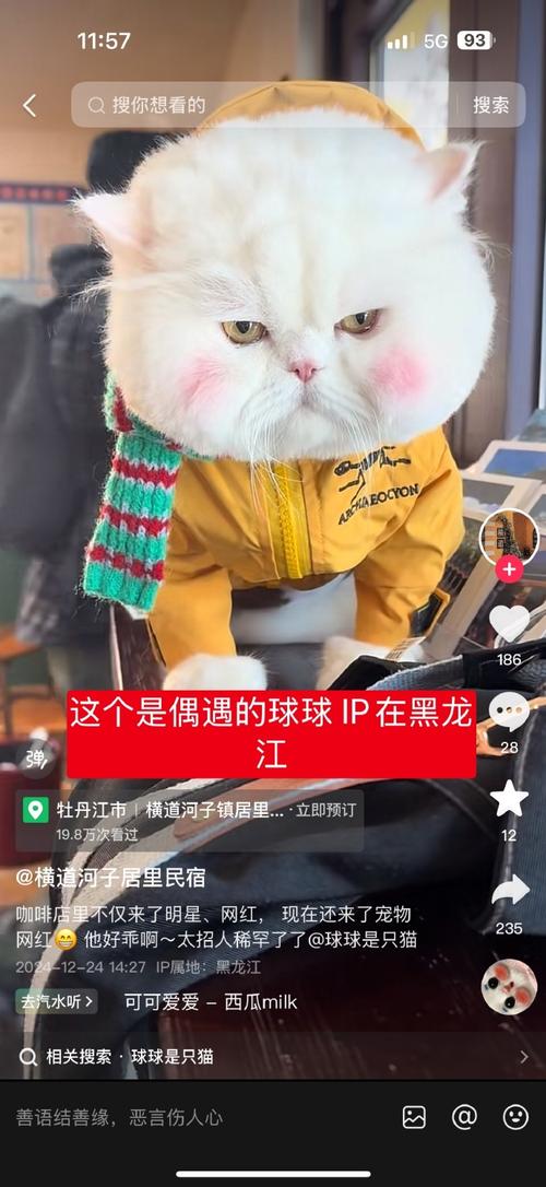 网红猫爷涨粉近70万